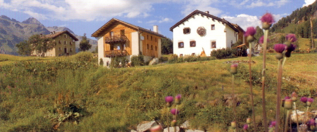Pensiun Chesa Pool